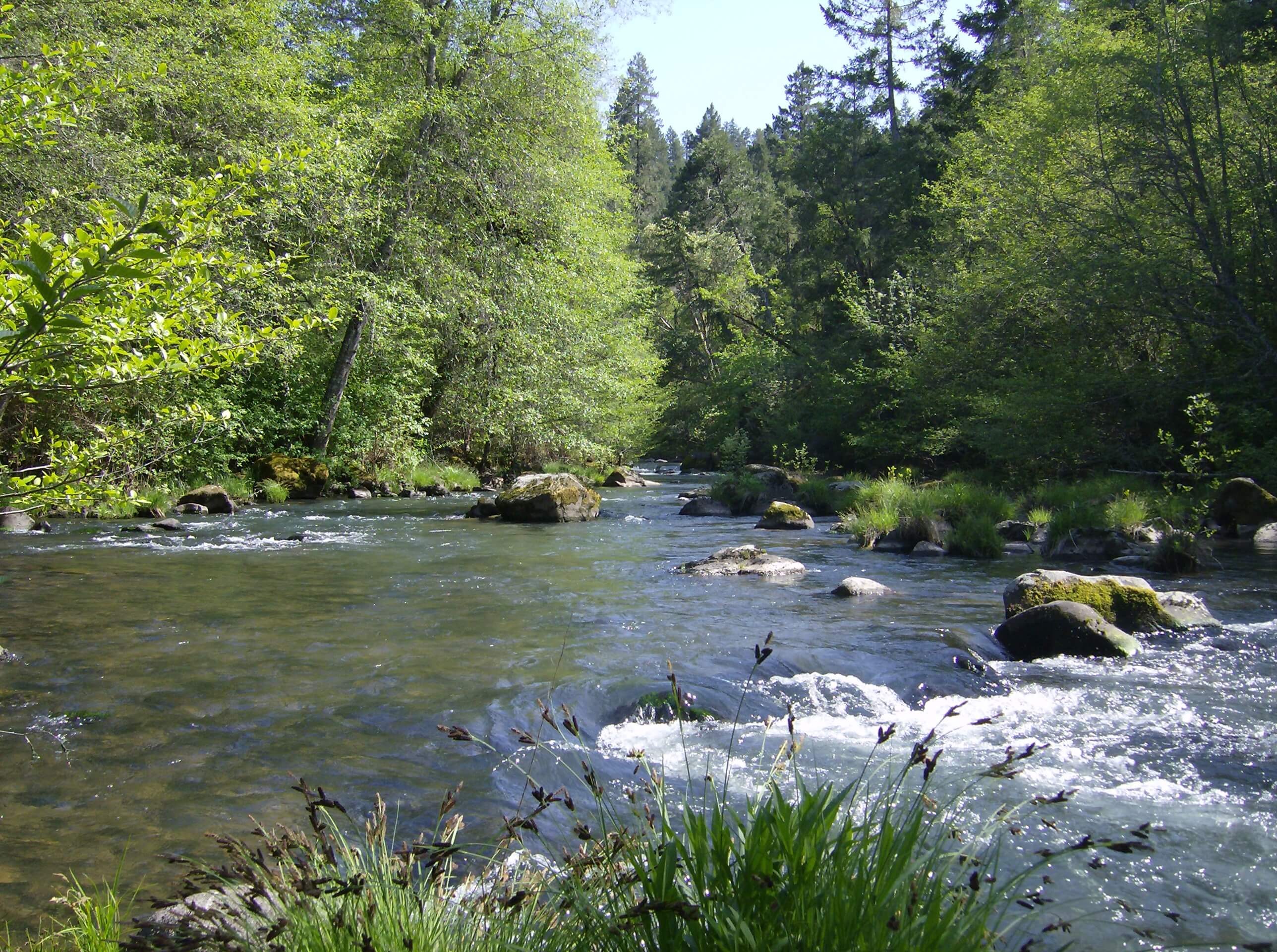 Creek
